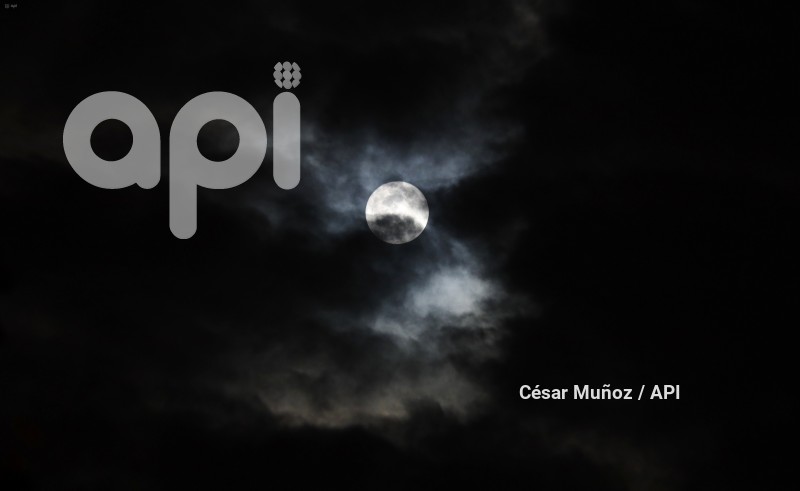 GYE-LUNA DE CIERVO