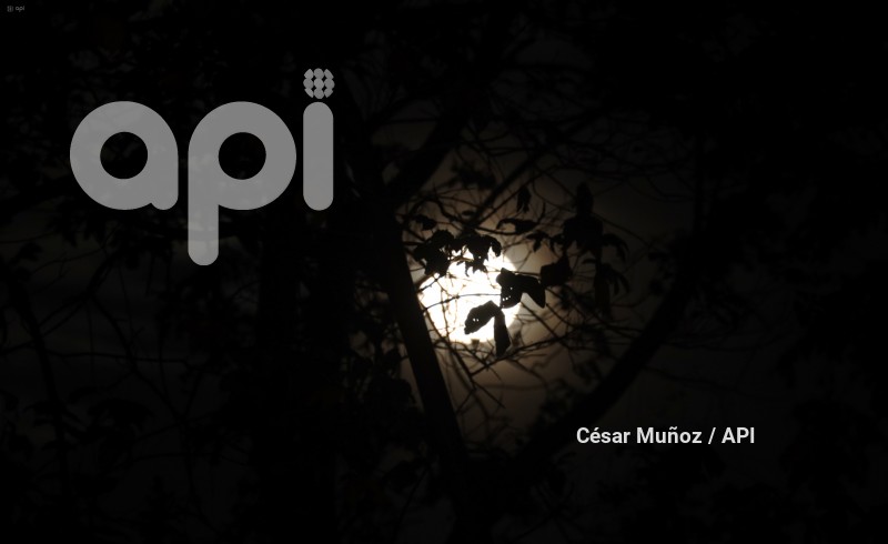 GYE-LUNA DE CIERVO