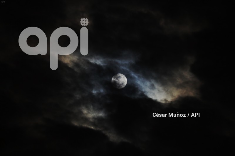 GYE-LUNA DE CIERVO