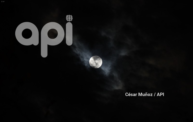 GYE-LUNA DE CIERVO