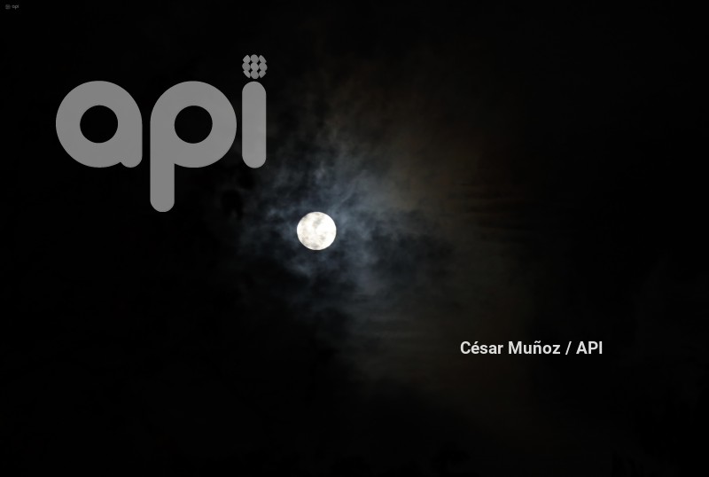 GYE-LUNA DE CIERVO