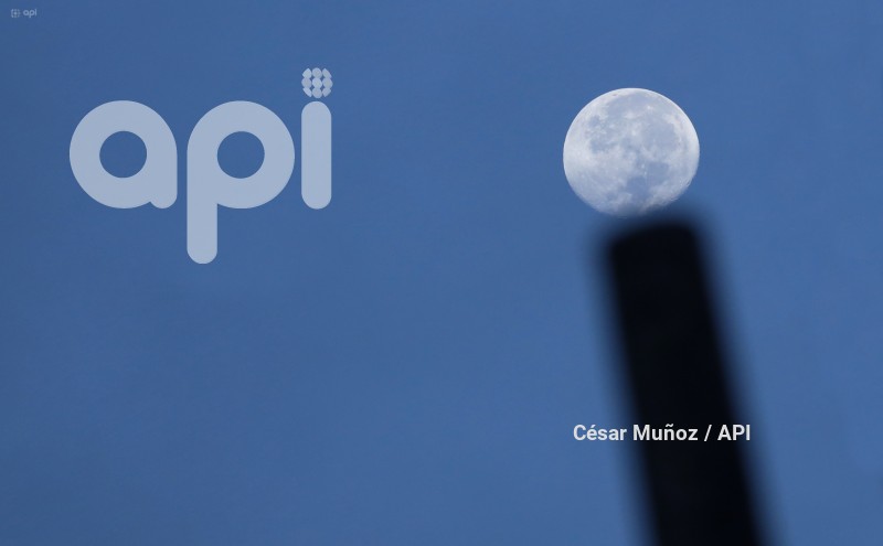 GYE-LUNA DE CIERVO