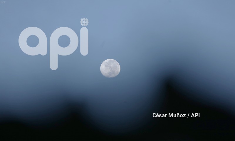 GYE-LUNA DE CIERVO