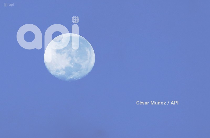 GYE-LUNA DE CIERVO