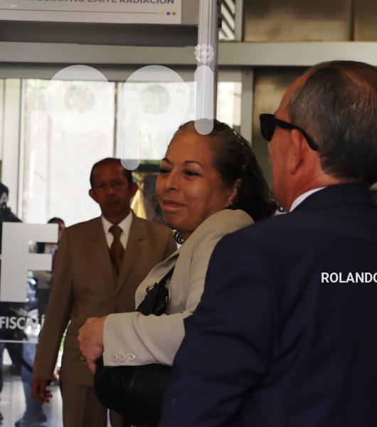 PERITO-MEZA-FISCALIA-GENERAL