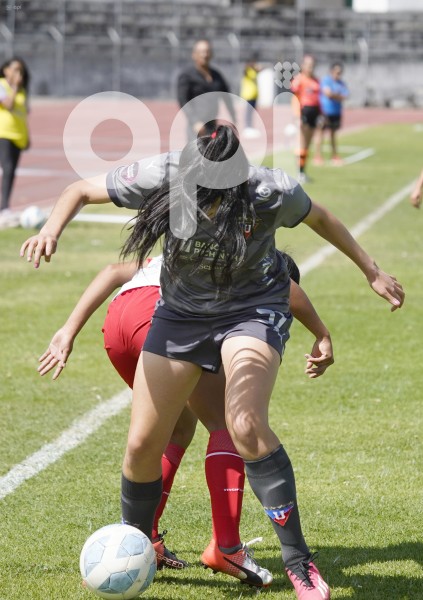 FBL-SUPERLIGAFEM-IBARRA-LIGA