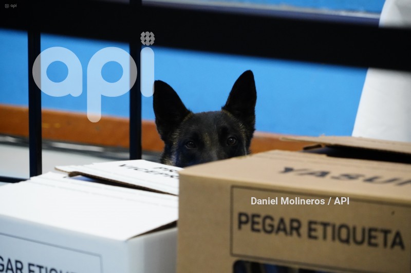 SIMULACRO-ELECCIONES-PRESIDENCIALES-UIO