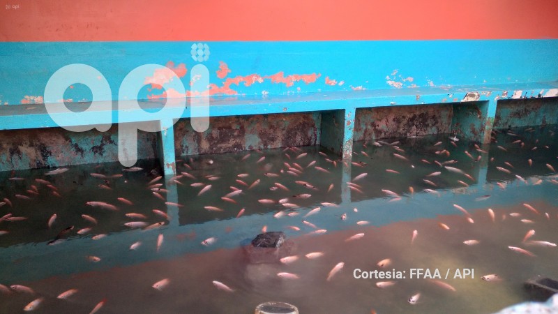 GYE-PENITENCIARIA INTERVENCION