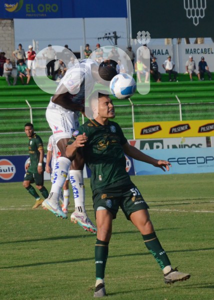 FBL-LIGAPRO-ORENSE-DELFIN