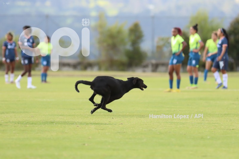 FBL-SUPERLIGAFEM-ESPUCE-CATÓLICA