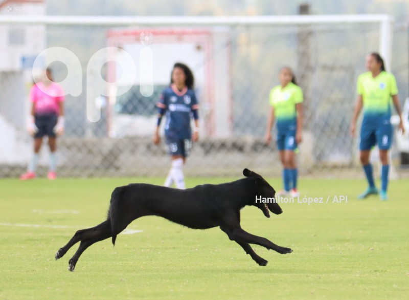 FBL-SUPERLIGAFEM-ESPUCE-CATÓLICA
