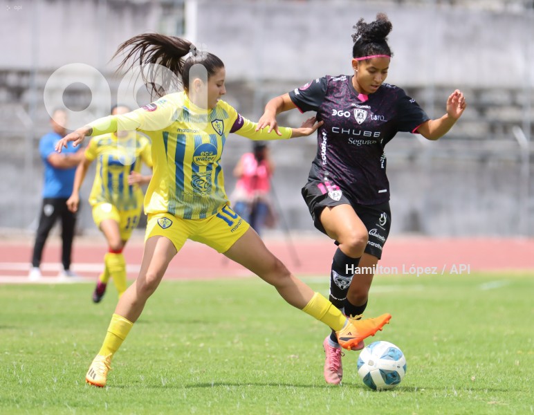 FBL-SUPERLIGAFEM-LEONES-DRAGONAS