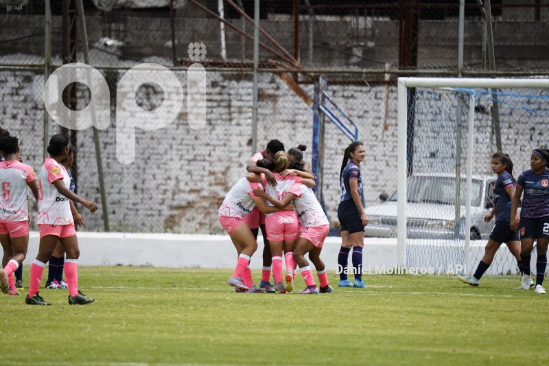 FBL-SUPERFEM-NANAS-IBARRA