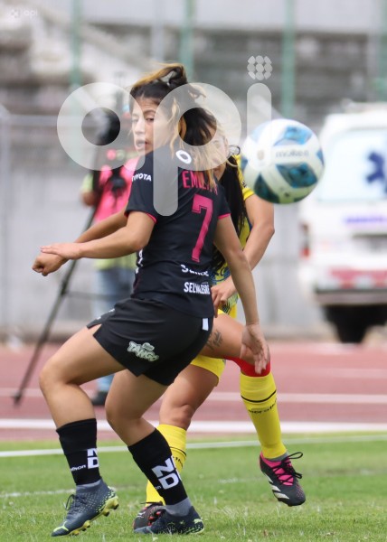 FBL-SUPERLIGAFEM-LEONES-DRAGONAS