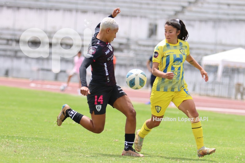 FBL-SUPERLIGAFEM-LEONES-DRAGONAS