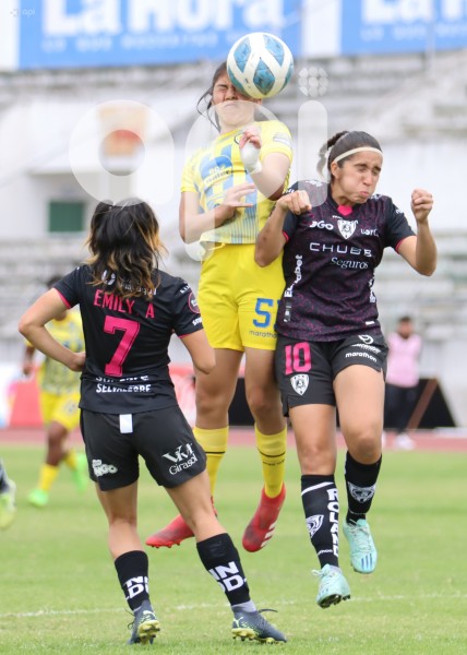 FBL-SUPERLIGAFEM-LEONES-DRAGONAS