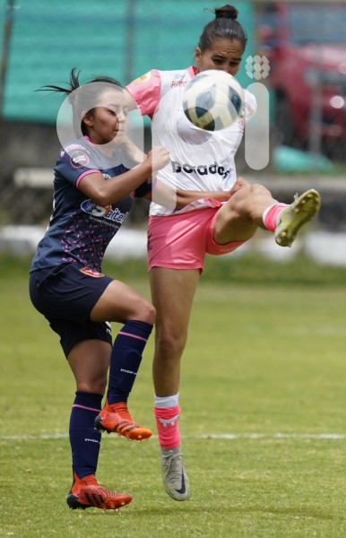 FBL-SUPERFEM-NANAS-IBARRA