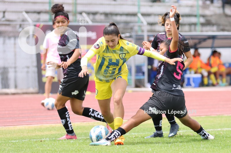FBL-SUPERLIGAFEM-LEONES-DRAGONAS