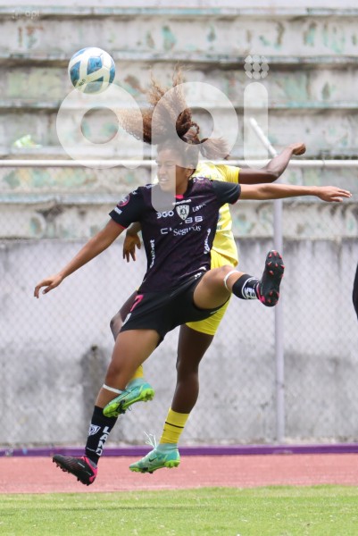 FBL-SUPERLIGAFEM-LEONES-DRAGONAS