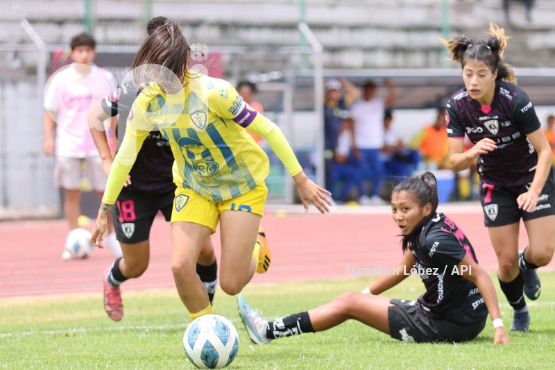 FBL-SUPERLIGAFEM-LEONES-DRAGONAS
