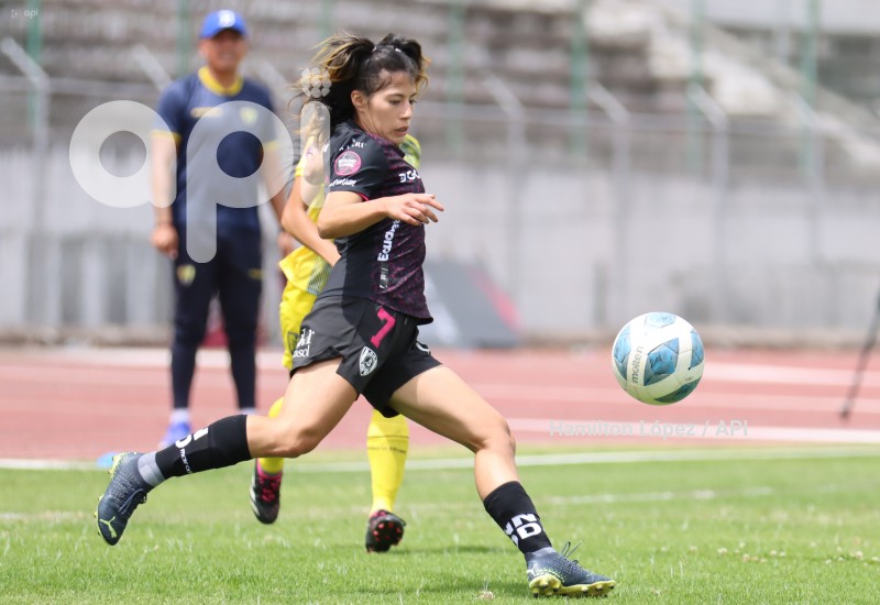 FBL-SUPERLIGAFEM-LEONES-DRAGONAS