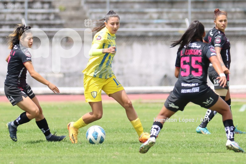 FBL-SUPERLIGAFEM-LEONES-DRAGONAS