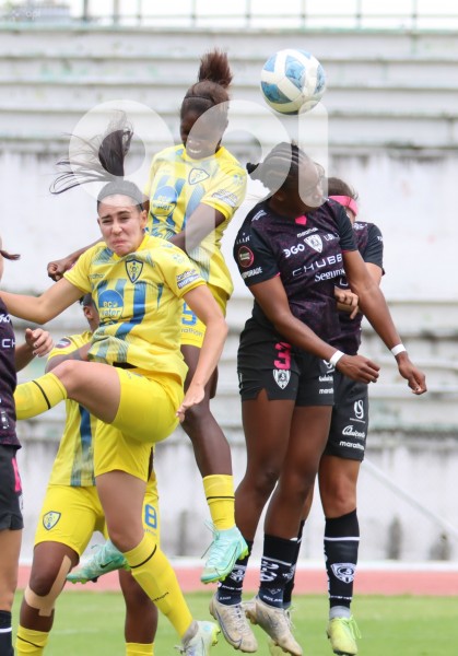 FBL-SUPERLIGAFEM-LEONES-DRAGONAS
