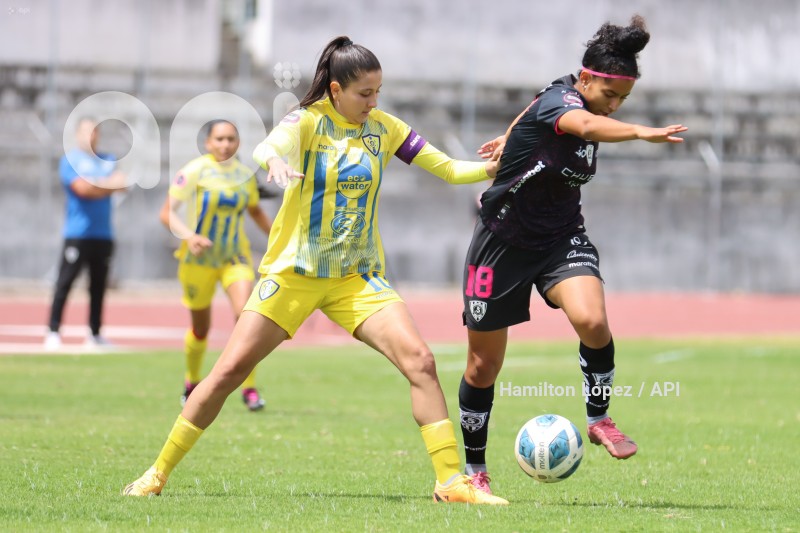 FBL-SUPERLIGAFEM-LEONES-DRAGONAS