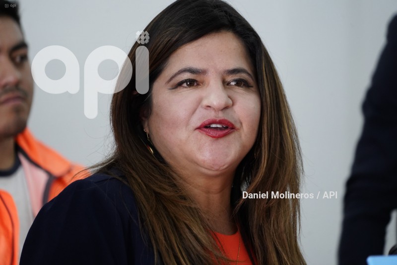 IZQUERDA-DEMOCRATICA-APOYO-OTTO