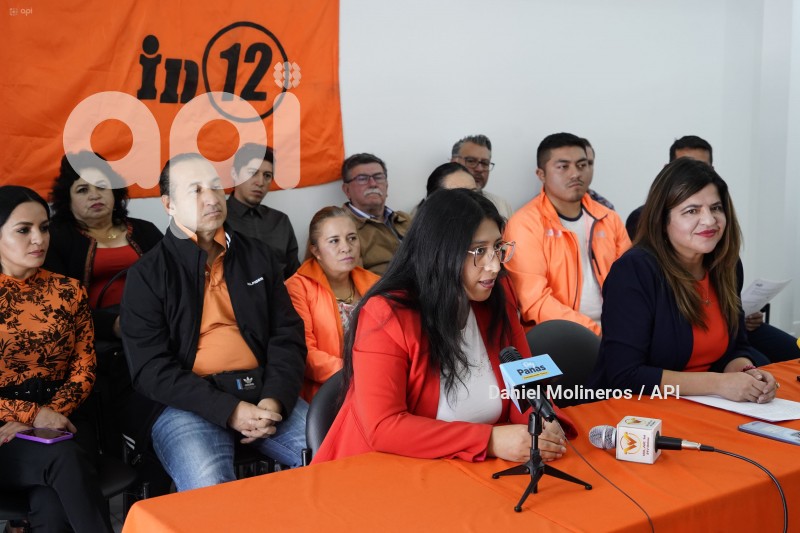 IZQUERDA-DEMOCRATICA-APOYO-OTTO