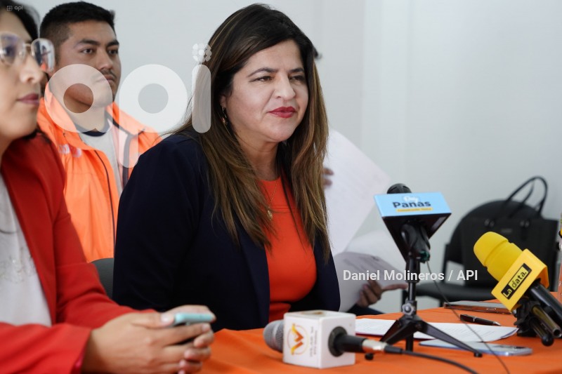 IZQUERDA-DEMOCRATICA-APOYO-OTTO