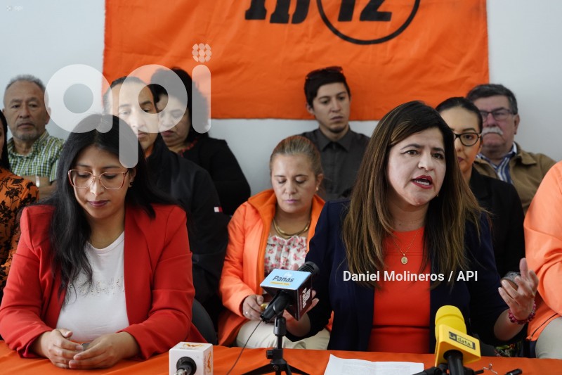 IZQUERDA-DEMOCRATICA-APOYO-OTTO
