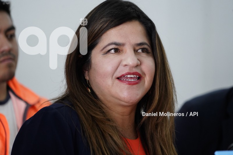 IZQUERDA-DEMOCRATICA-APOYO-OTTO