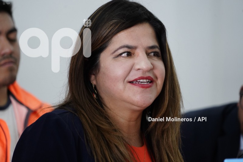 IZQUERDA-DEMOCRATICA-APOYO-OTTO