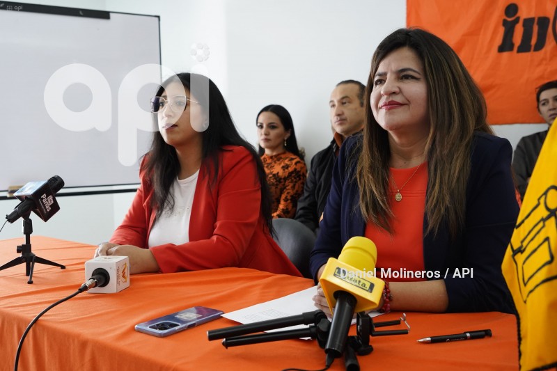IZQUERDA-DEMOCRATICA-APOYO-OTTO