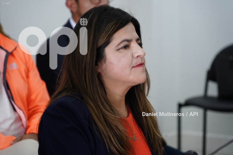 IZQUERDA-DEMOCRATICA-APOYO-OTTO