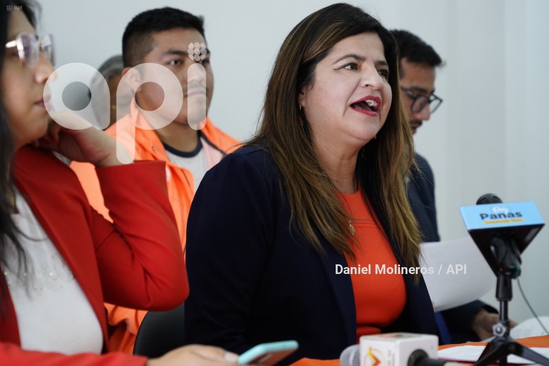 IZQUERDA-DEMOCRATICA-APOYO-OTTO