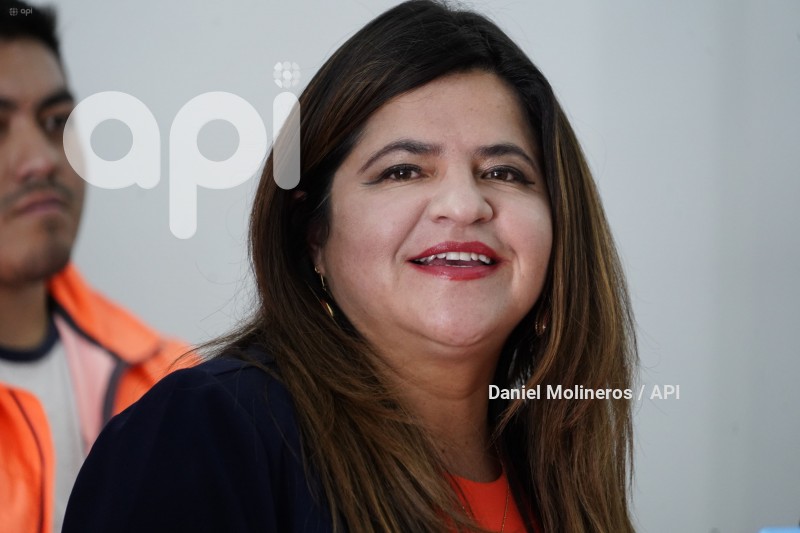 IZQUERDA-DEMOCRATICA-APOYO-OTTO