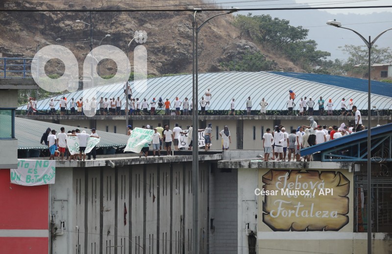 GYE-PROTESTA PPL