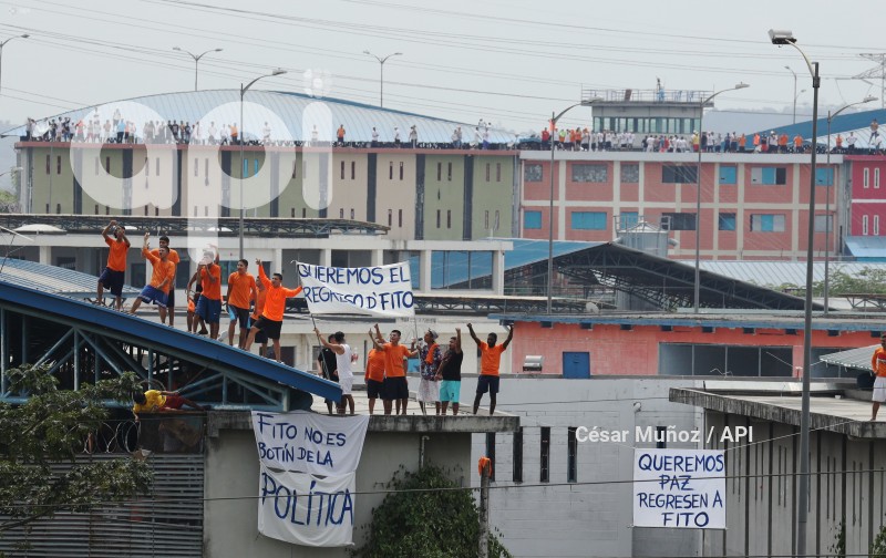 GYE-PROTESTA PPL
