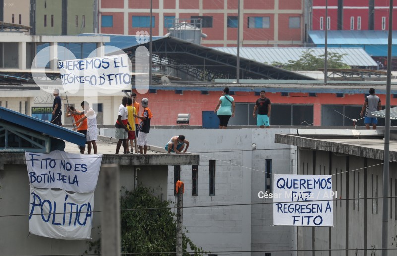 GYE-PROTESTA PPL