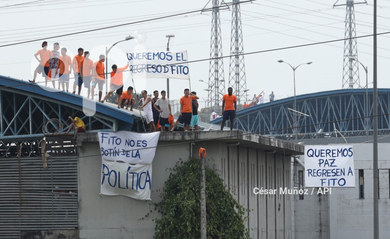 GYE-PROTESTA PPL