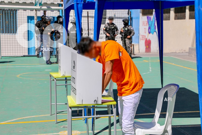 VOTO-PPL