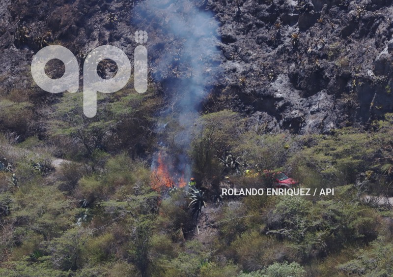 INCENDIOS-PUEMBO-ARENAL