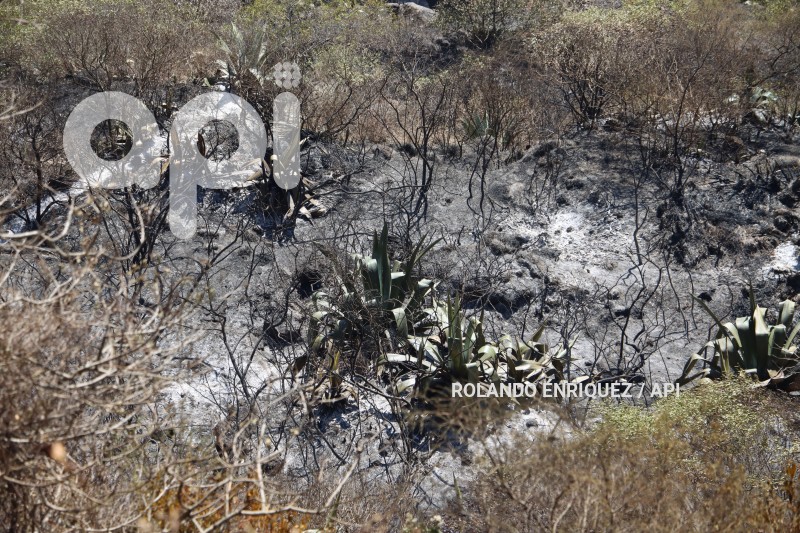 INCENDIOS-PUEMBO-ARENAL