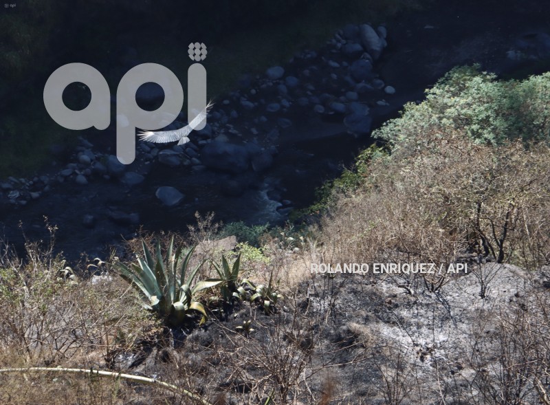 INCENDIOS-PUEMBO-ARENAL