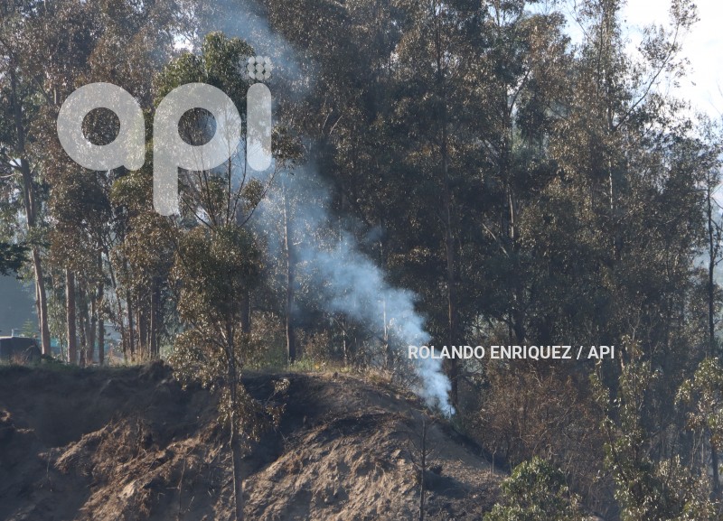 INCENDIOS-PUEMBO-ARENAL