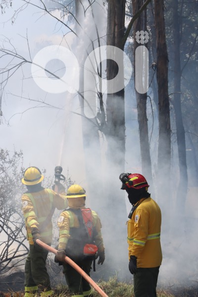 INCENDIO-VALLE -CHILLOS