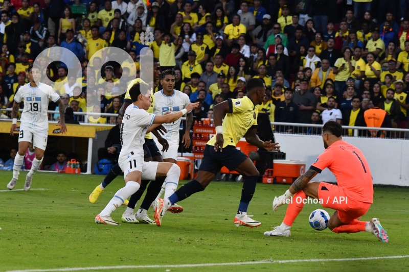 FBL - ELIMINATORIAS - ECUADOR - URUGUAY