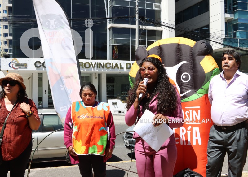 FRENTE-ANTI-MINERO-CASO-MELINA